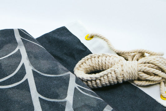 Spidey Spence Canvas Hammock